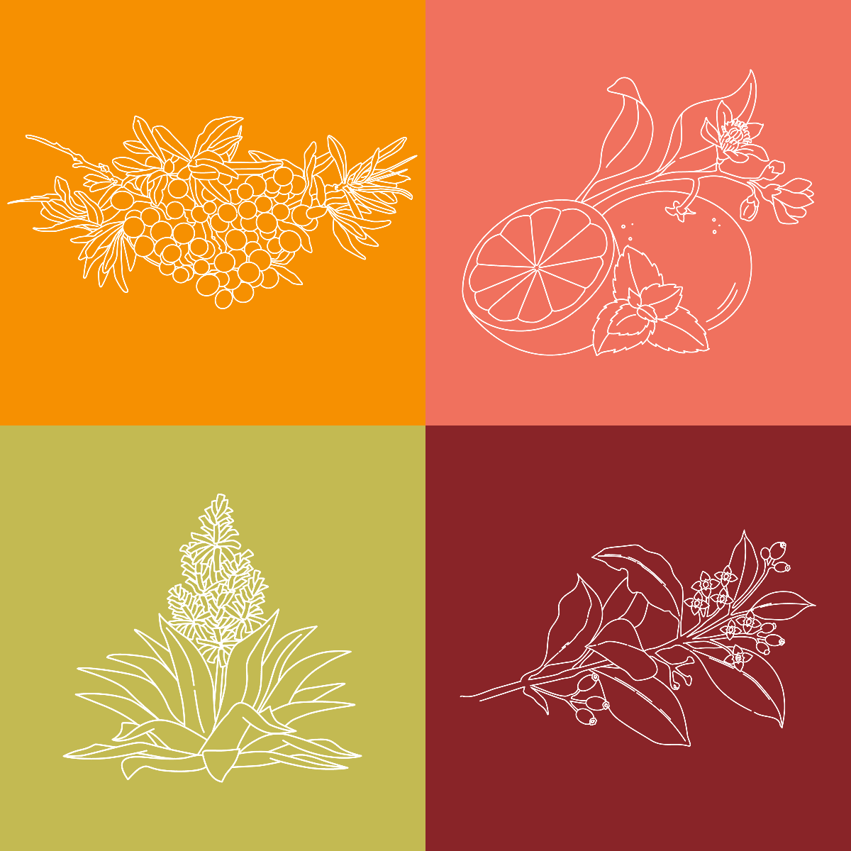 MUHLE Shave Care fragrance illustrations